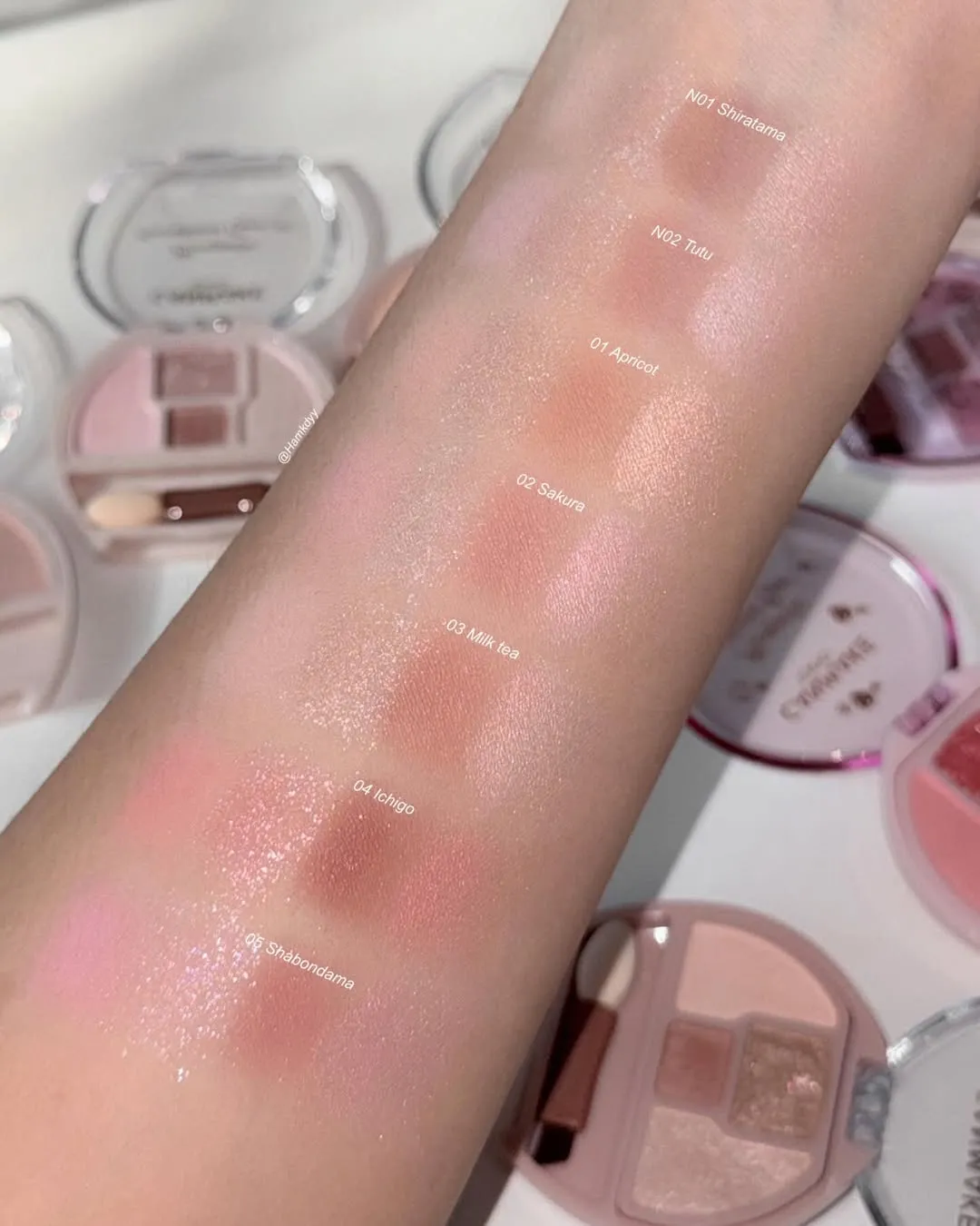 日本 Canmake 打亮臥蠶眼影盤