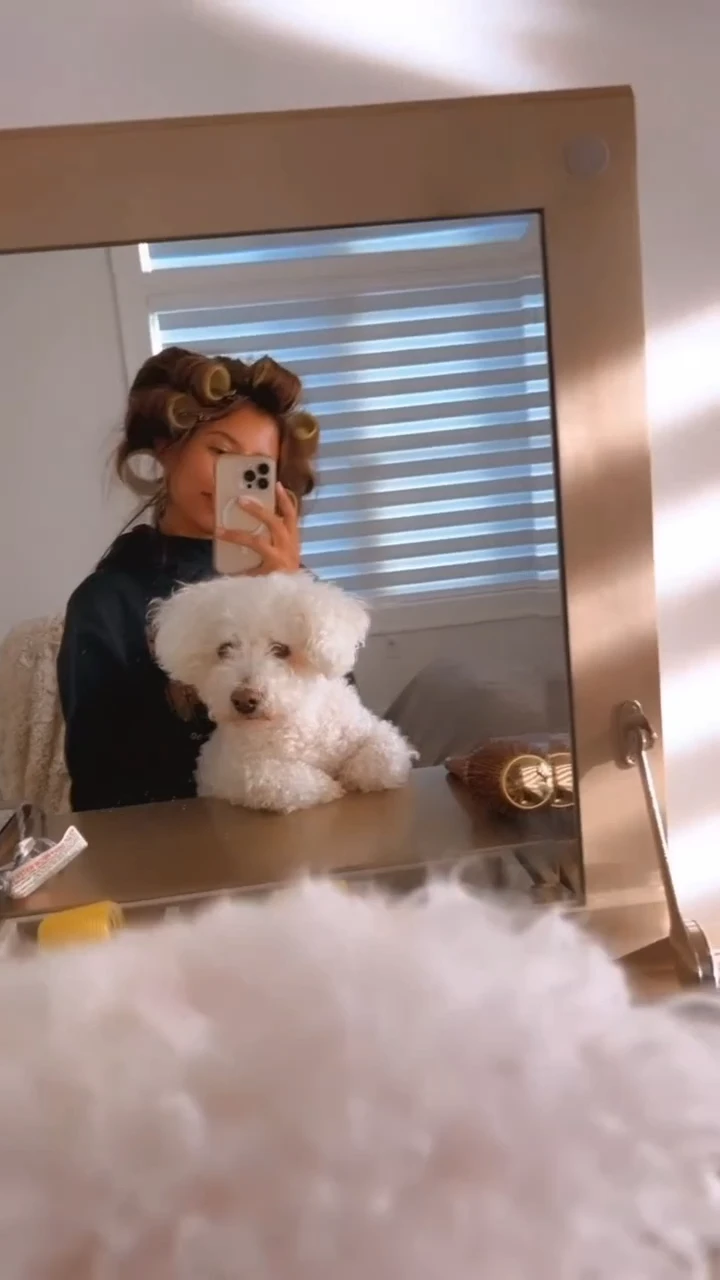 Drybar 髮捲組