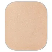 日本 ALBION 超上鏡補光小顏粉餅