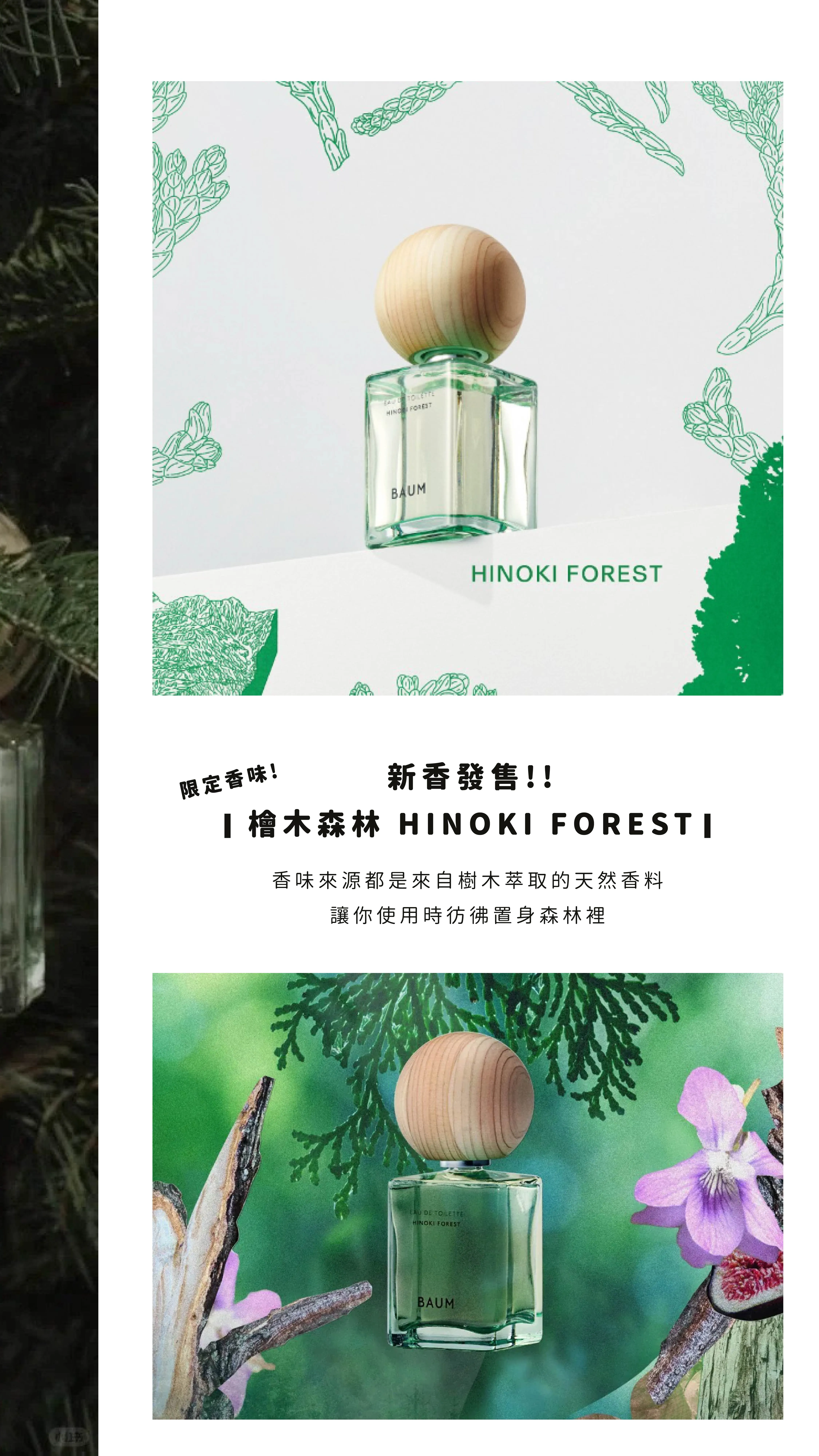 日本 BAUM 木質香水