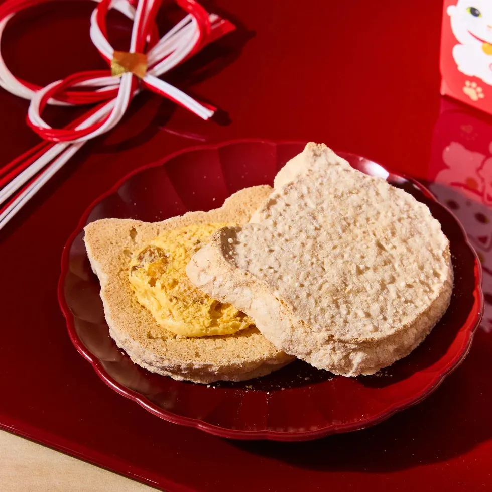 日本 豪德寺招財貓聯名 杏桃達克瓦茲禮盒