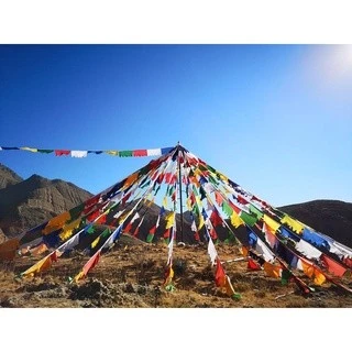 西藏【獅面空行母心咒風五色馬旗】 (中小面)一條20片五色 滅除違緣障礙 和諧安定
