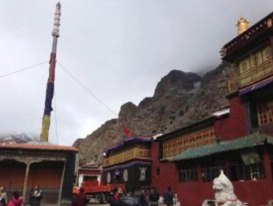 【西藏楚布寺藏香】<甘丹草粉> (楚布寺藏香廠現磨甘丹山寺所產)3入/5入/10入 組合