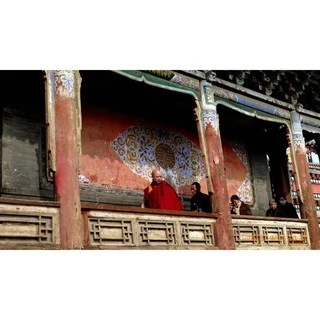 青海【塔爾寺】 密宗清除污穢薰香粉 紅包/黃包