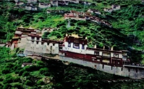 西藏【直貢梯寺】直貢福壽藏香(自然和諧 靜心供佛)攜帶便利短香