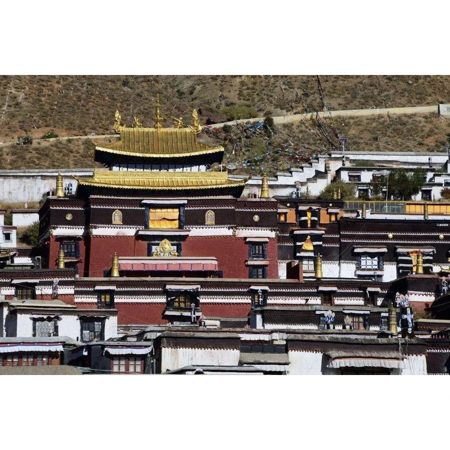 西藏【札什倫布寺】 強巴佛殿彌勒佛開光 吉祥祈願藏香粉
