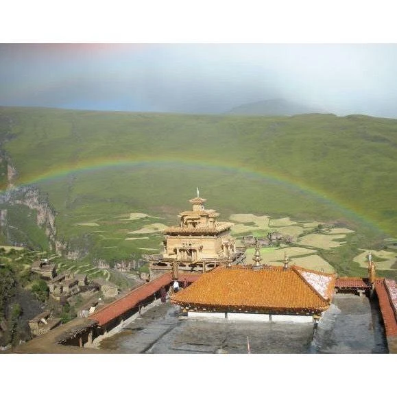 西藏【色登寺】 大鵬金翅鳥熏香粉 色登寺丹真絨布仁波切加持(助消除違緣 惡障淨除)