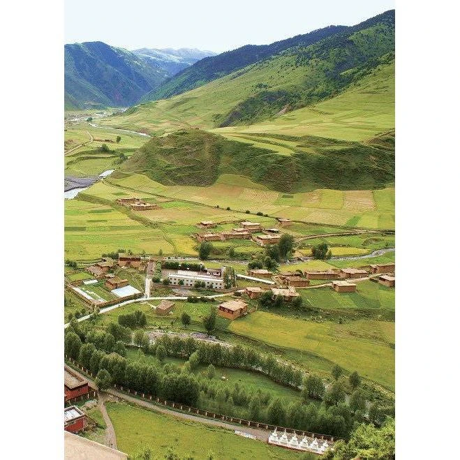 德格【宗薩黃包藏香粉】 供養土地家宅安康 安定身心健康 豐富資糧的薰香供粉