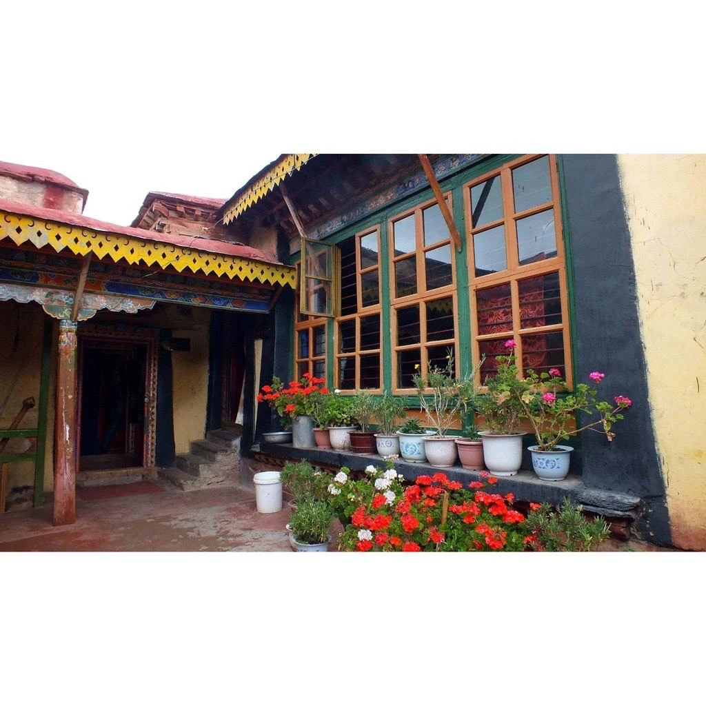 西藏【甘丹寺】 甘丹香草粉 除障淨化避邪去穢(大筒精裝筒)