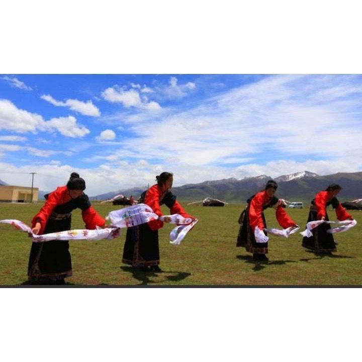 西藏【燙金八吉祥彩色哈達】 五彩繽紛華麗亮色彩穗(五色可選)