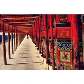 色達【色拉寺(寧瑪派)】 秘制純天然神熏香粉