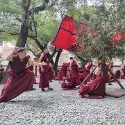 西藏【色拉寺】 二十五味芬芳藏香(小盒裝) 黃/綠二款