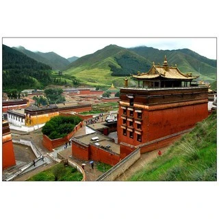 甘南【拉卜楞寺(格魯派)】 二十五味聖藥藏香粉 純淨天然 室內外薰香 上供下施