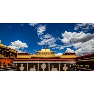 <西藏空運來台>西藏大昭寺開光加持~白玉菩提子手環~吉祥~溫潤~修持~祝福