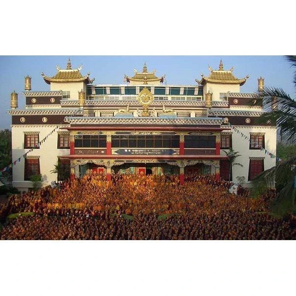 印度【南卓林寺】 南卓林寺手工藏香(盒裝/筒裝)
