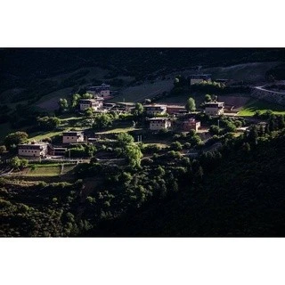 四川【噶陀寺(寧瑪派祖庭) 】<噶陀世界聖柏藏香王> 來自各地聖香柏的薈萃香品 增長福慧 圓滿吉祥 (三款可選)