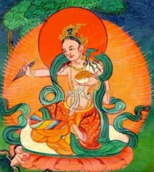 西藏山南【札央宗】憤怒蓮師藏藥香(長版香)