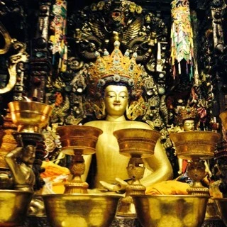<西藏空運來台>西藏大昭寺開光加持~白玉菩提子手環~吉祥~溫潤~修持~祝福