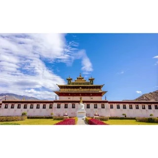 <西藏空運來台> 桑耶寺加持 ~ 白玉竹節菩提根手環 ~ 溫潤~福願~清淨~祈福~素雅~高潔