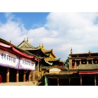 青海【塔爾寺】 密宗清除污穢薰香粉 紅包/黃包