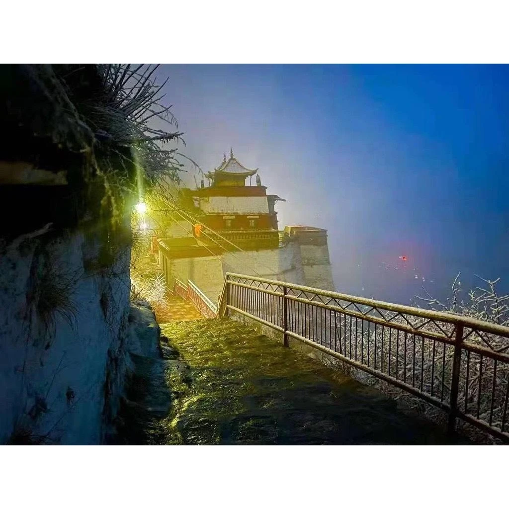 西藏【直貢梯寺】 護法殿珍貴秘製藏密薰香煙供粉(裸袋裝)