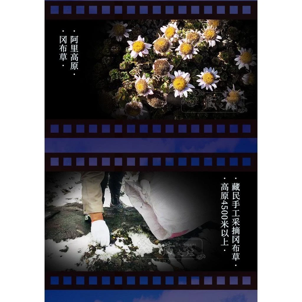 西藏【西藏阿里班公錯】 雁神湖薰香精緻塔香