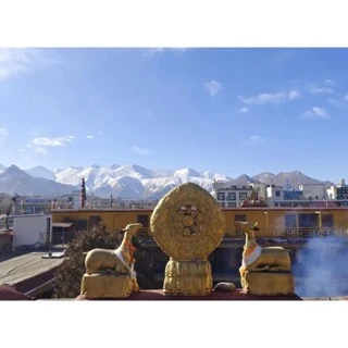 <西藏空運來台>西藏札基寺財神寺加持開光~白玉菩提子手環~事業身心 轉危為安~ 吉祥順遂 諸事如意