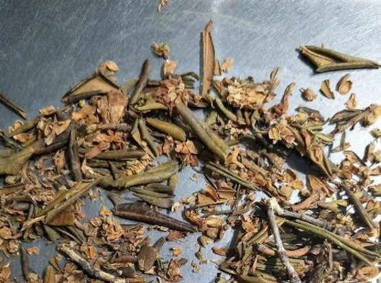 【西藏楚布寺藏香】<楚布香草(烈香杜鵑)> 3入/5入/10入 組合