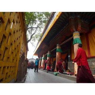青海【塔爾寺】 密宗清除污穢薰香粉 紅包/黃包
