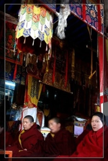 西藏拉薩【格日桑丹林寺】 千手觀音解脫聖物甘露丸(瑪吉拉尊姆加持)