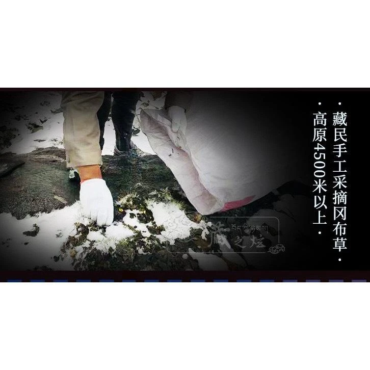 西藏【西藏阿里班公錯】 雁神湖薰香(香粉)
