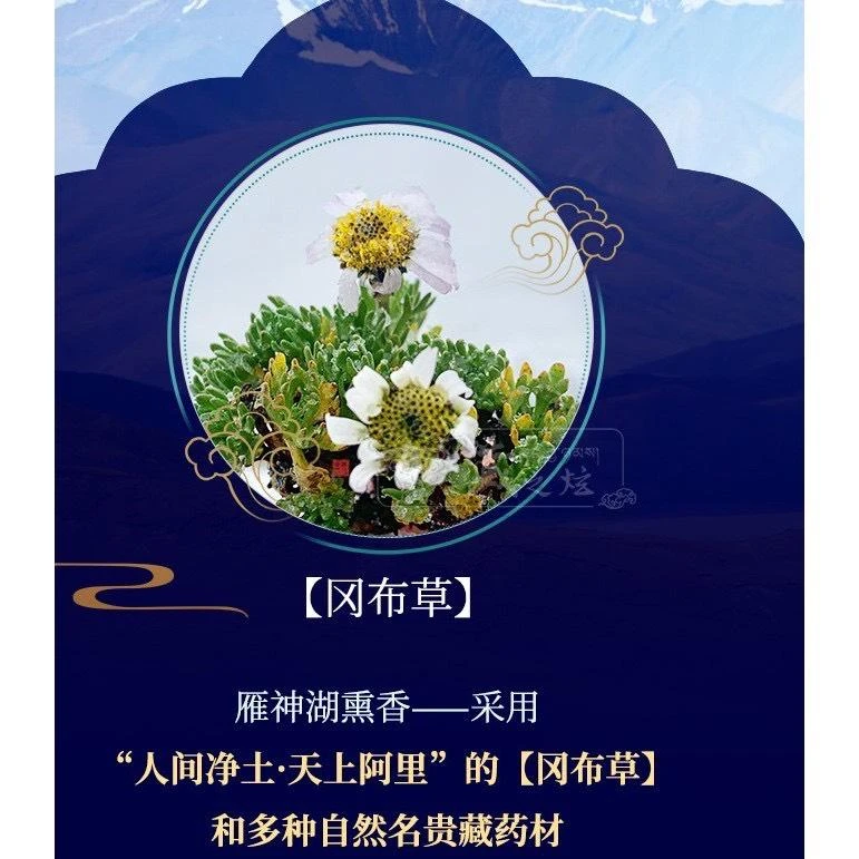 西藏【西藏阿里班公錯】 雁神湖薰香精緻塔香