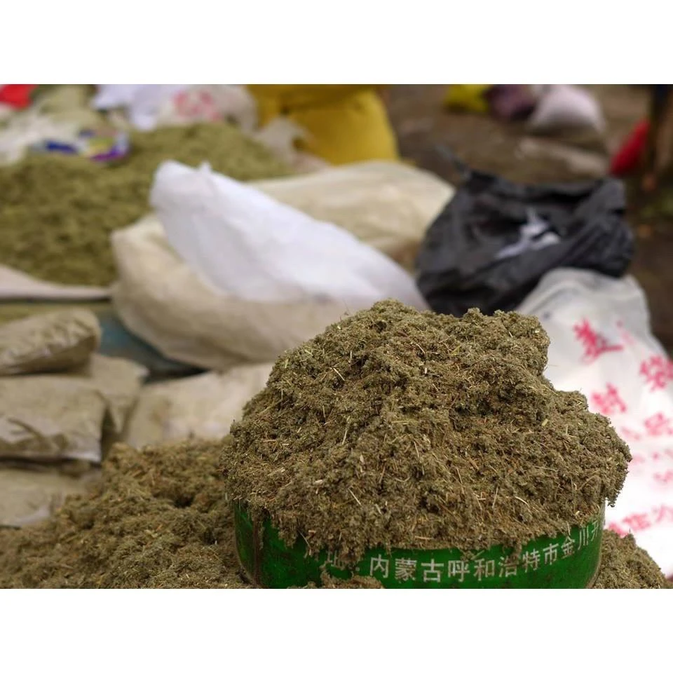 西藏【甘丹寺】 甘丹香草粉 甘丹刊巴粉(大包)