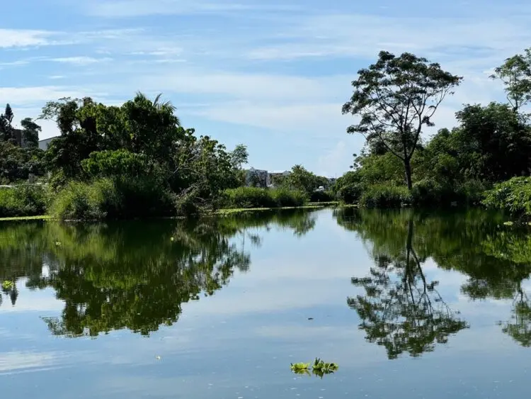 濕地吸碳落實淨零碳排目標　臺東縣府進行太平溪濕地碳匯調查