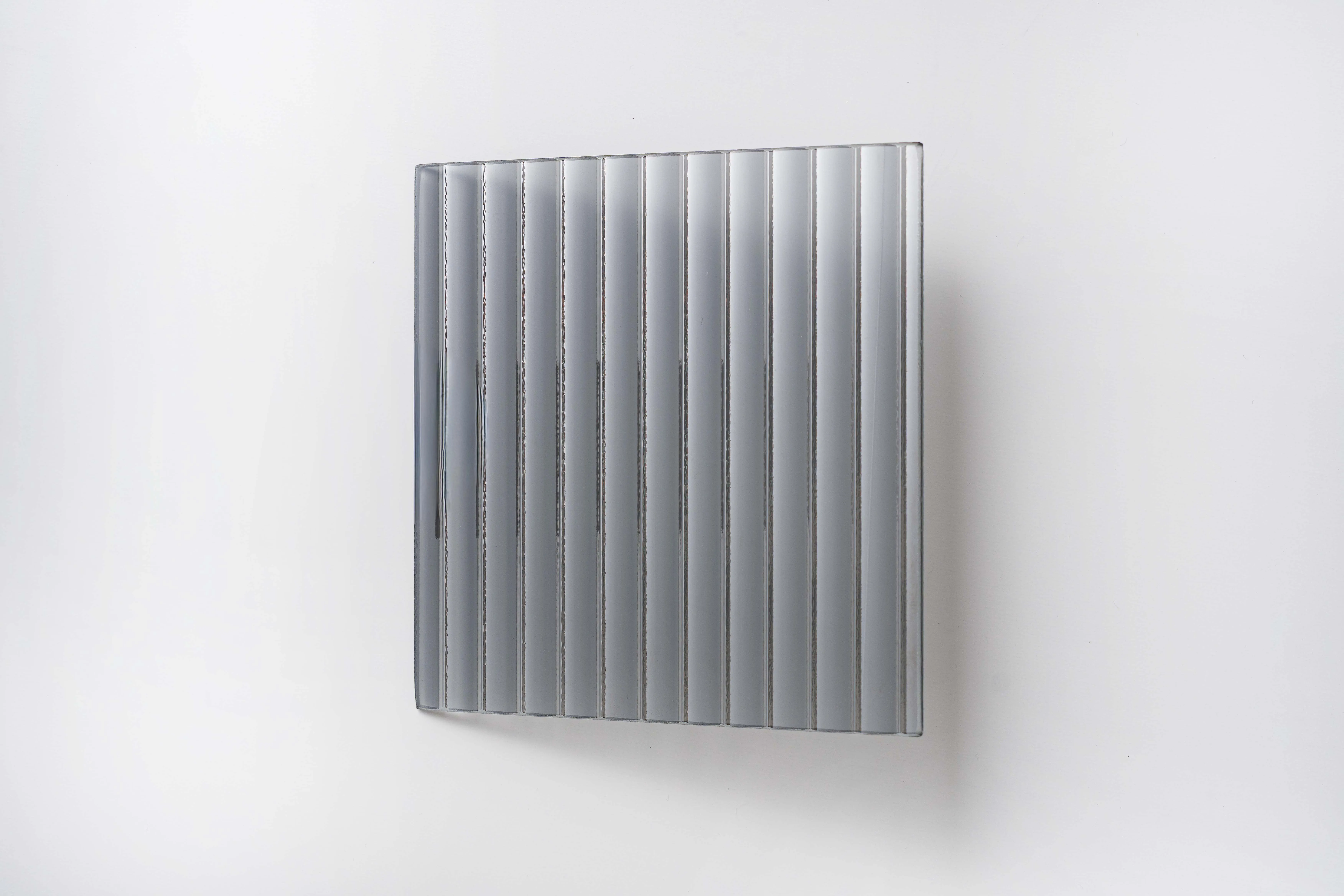 灰長虹/深灰長虹