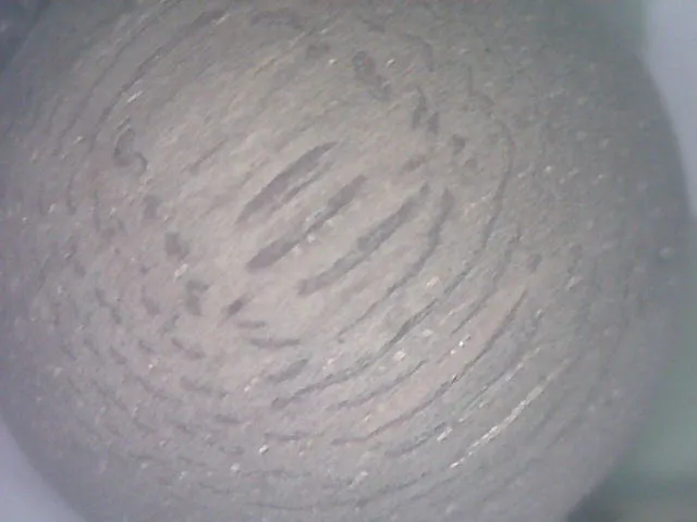 野生老沉香顯微組織照片