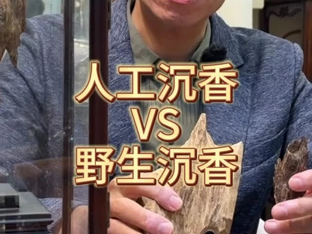 很多人每天在聞的「沉香」