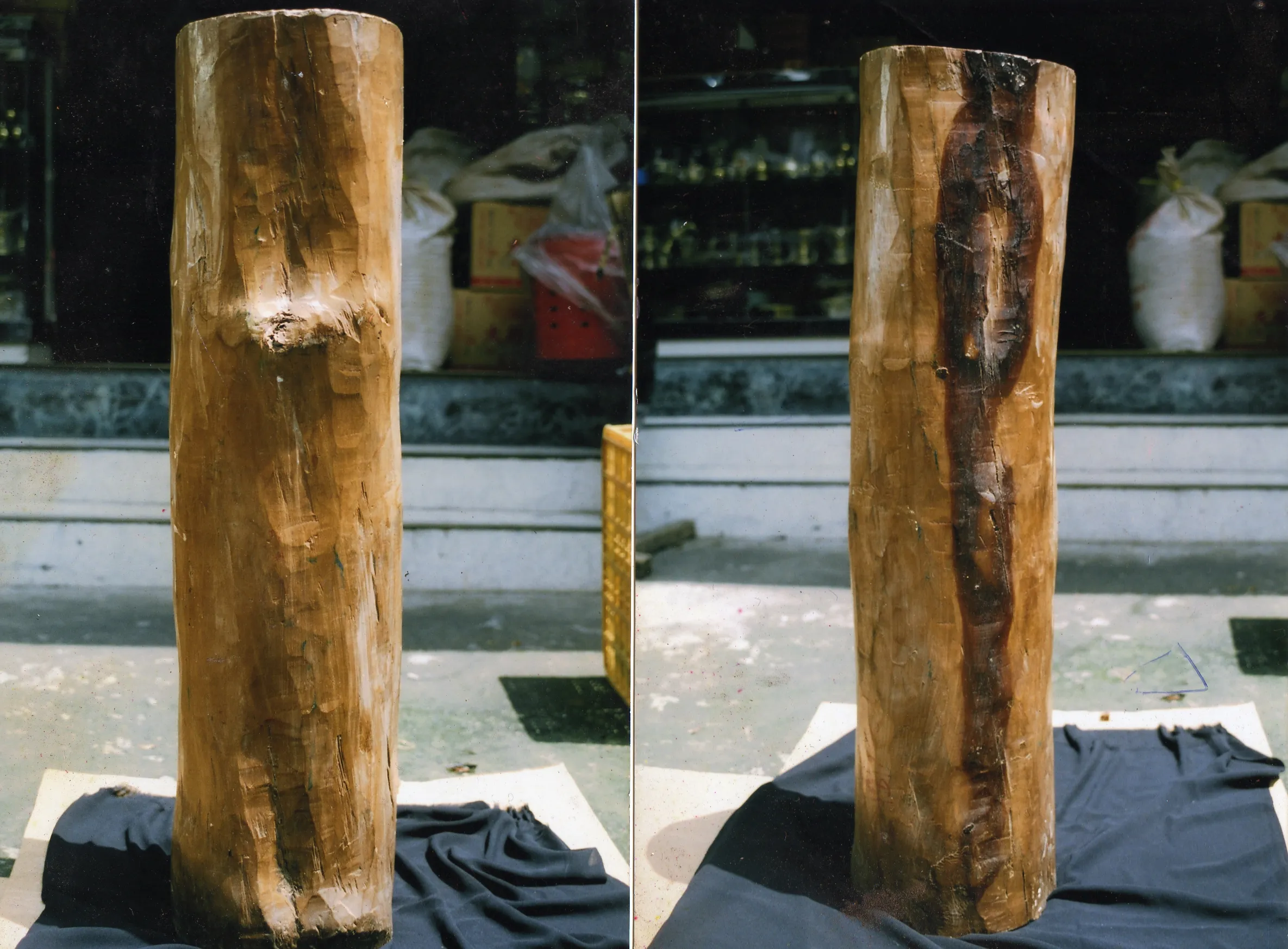 正印度老山頭木