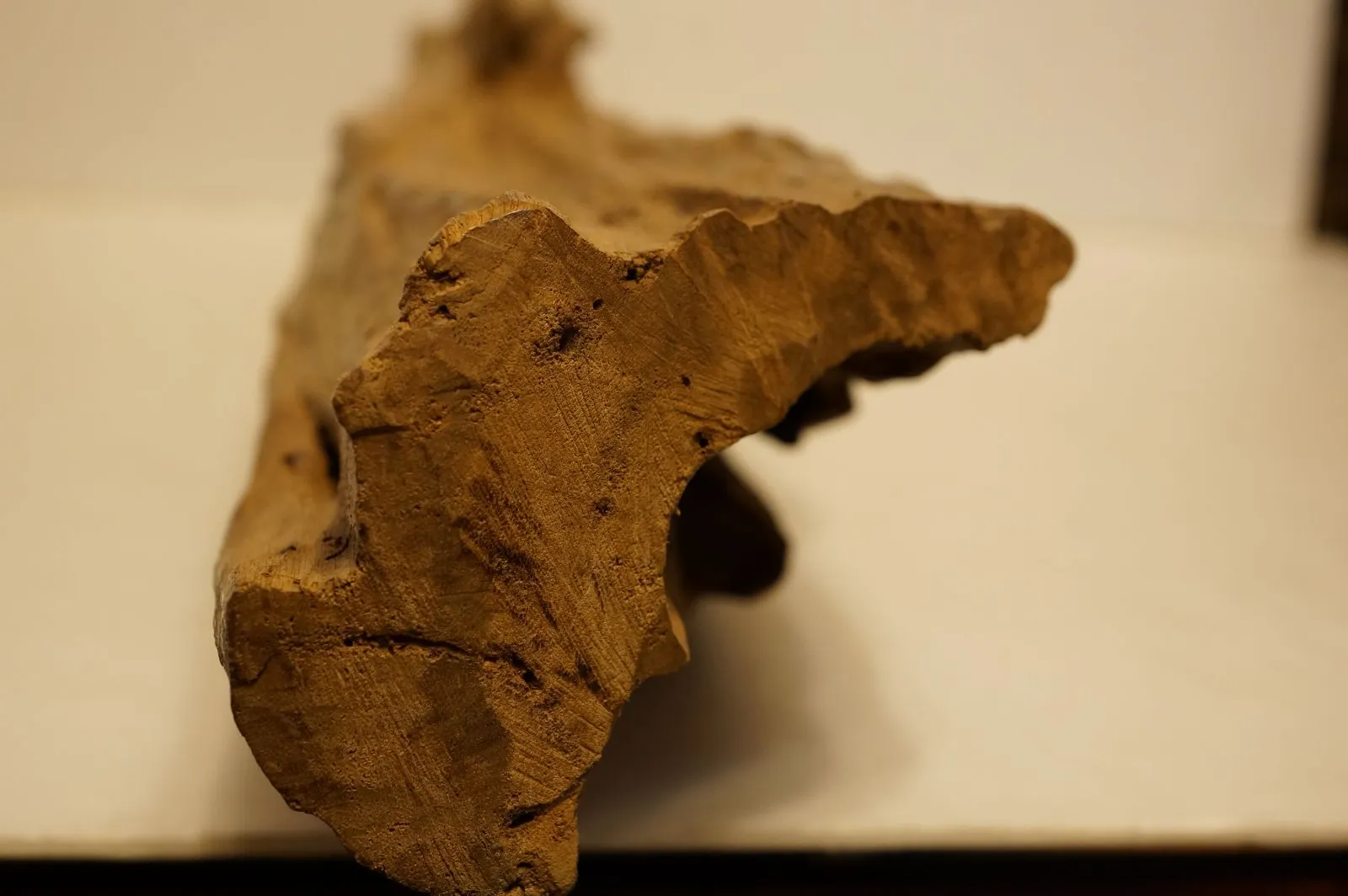 Jayapula半沉奇木