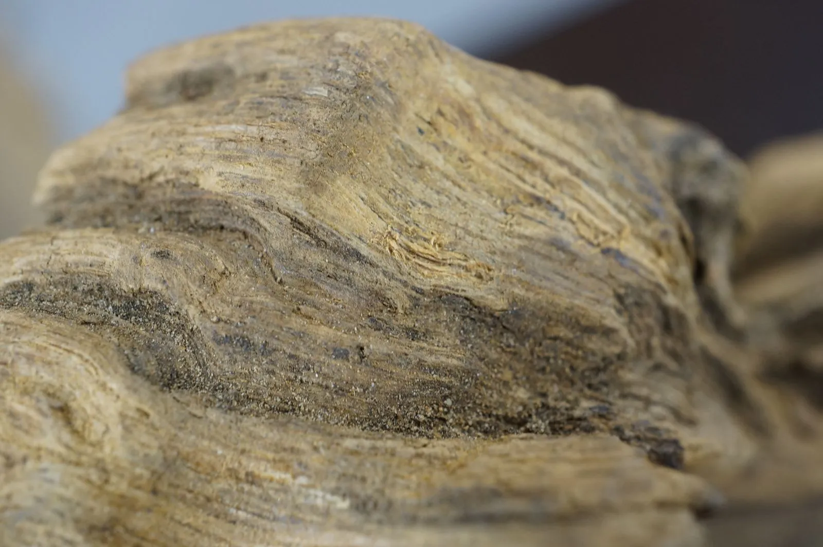 大件綠奇楠(一)~122.05g