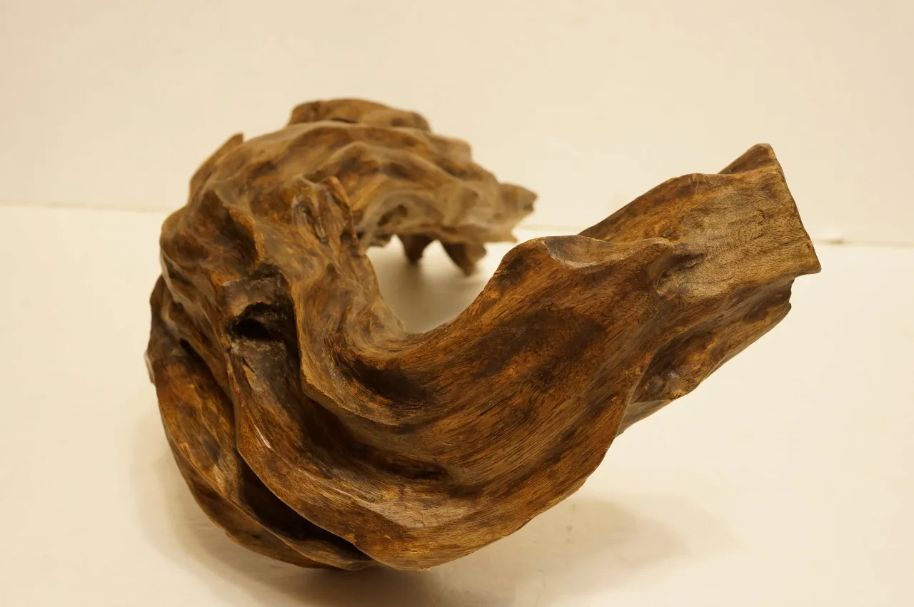 Jayapula水沉浮沉木~920g