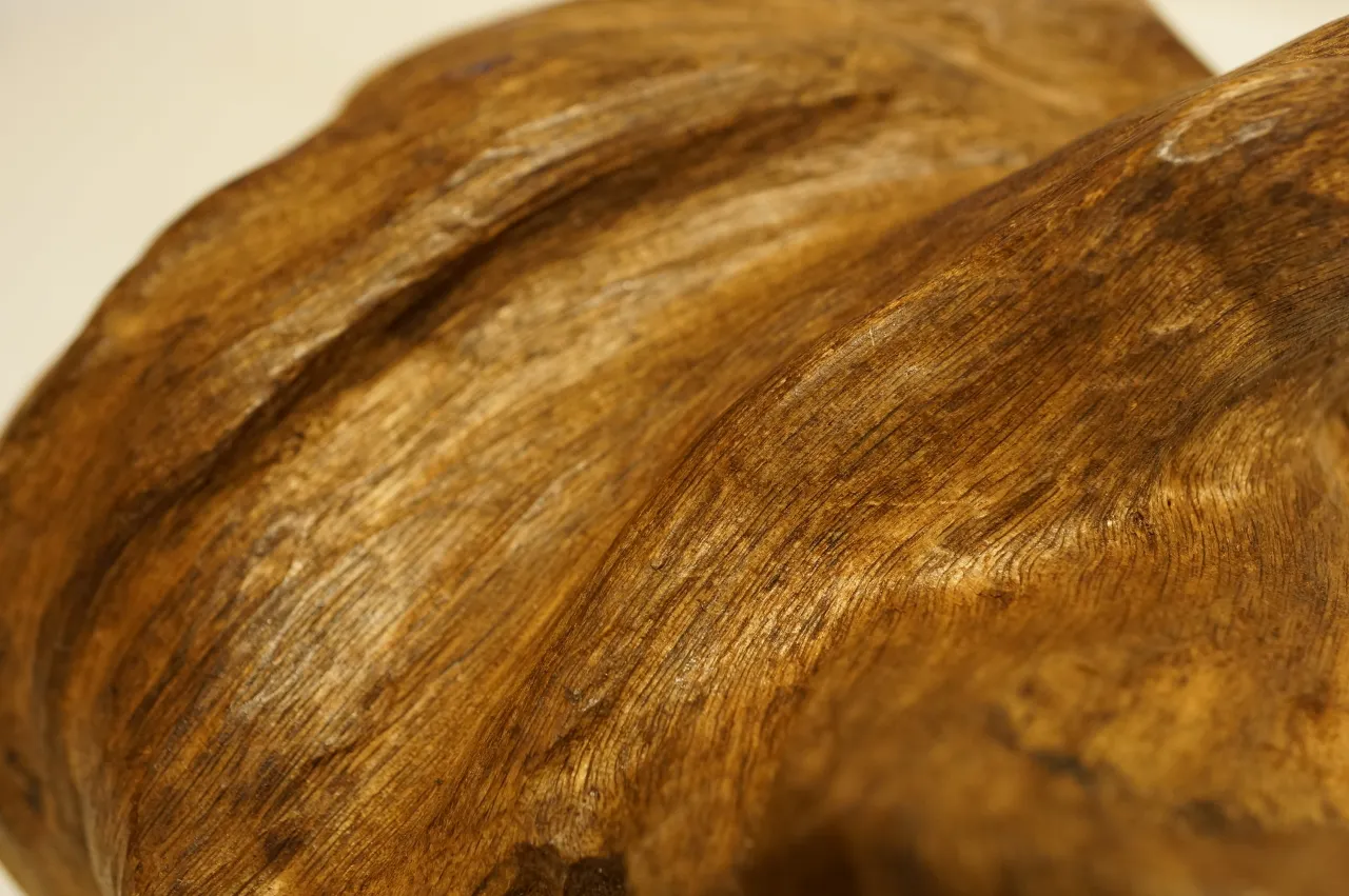 印尼索龍水沉浮