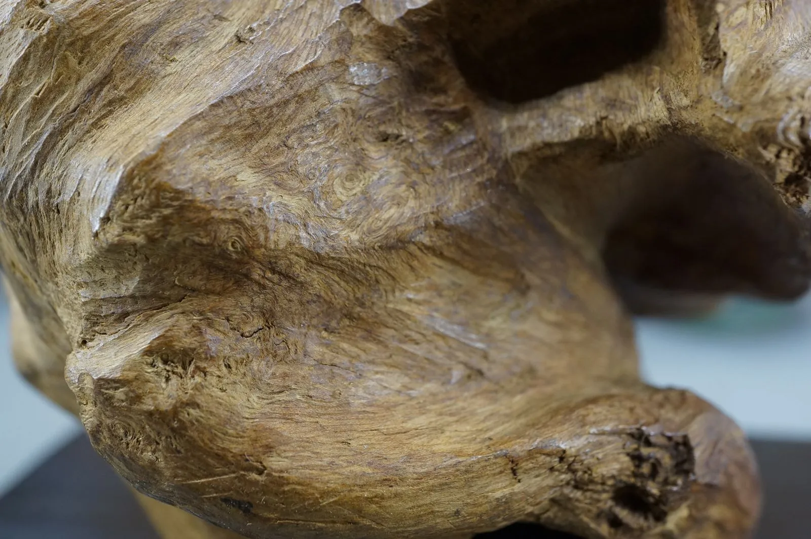 印尼索龍水沉浮~太極