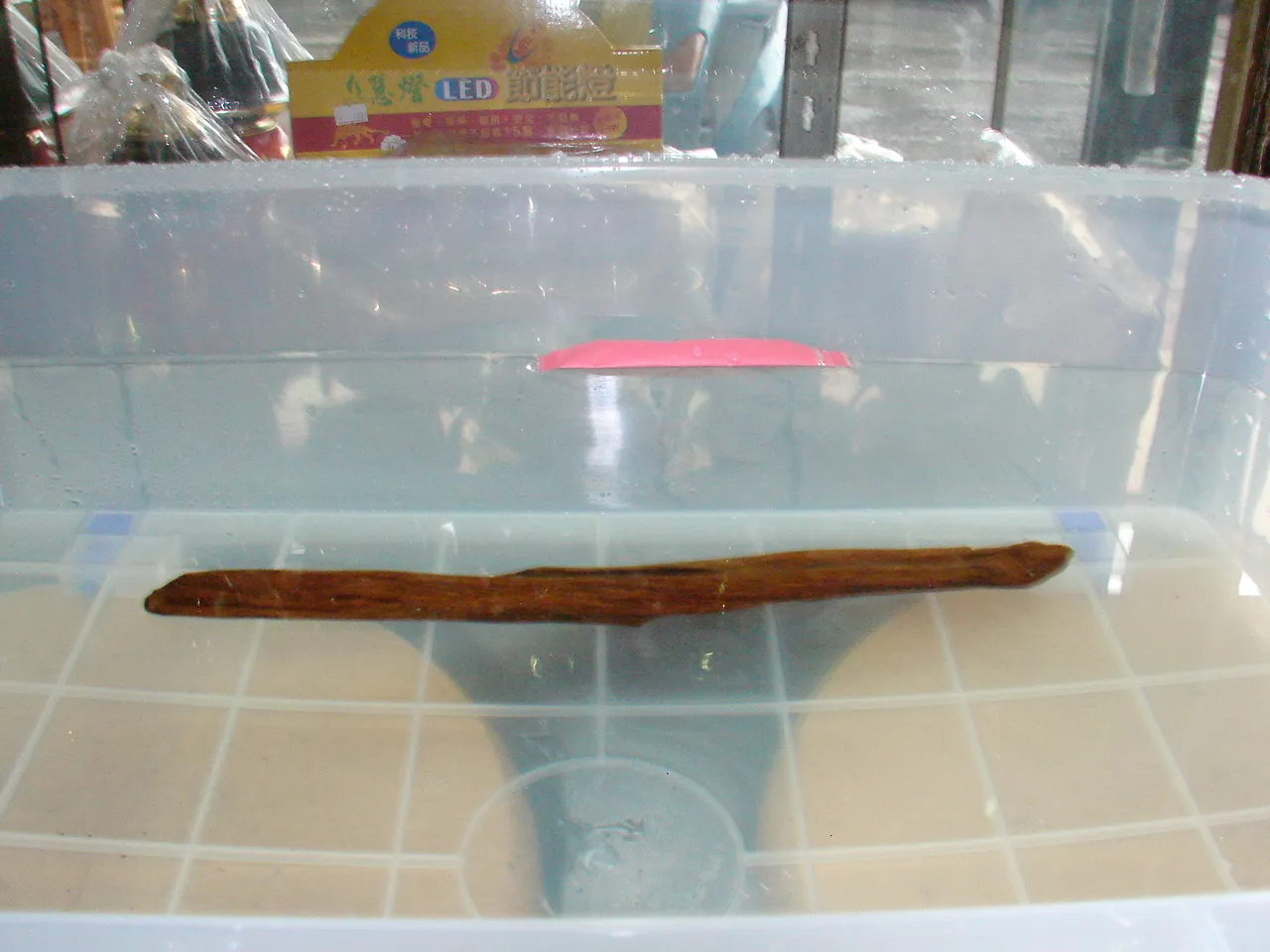 早期印尼安汶水沉