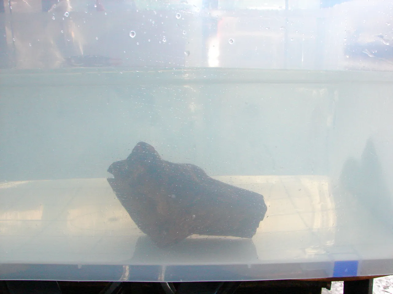 早期越南芽莊急沉