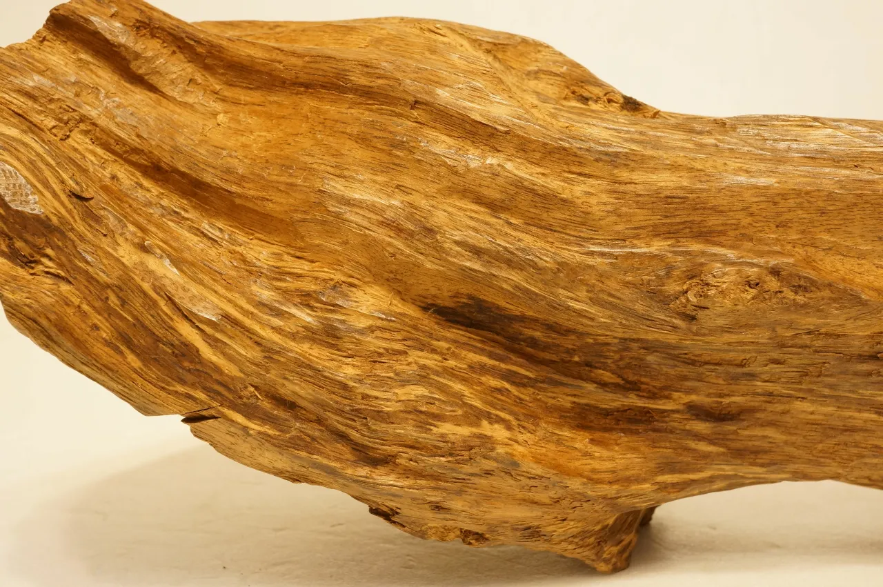 越南惠安犀角水沉浮