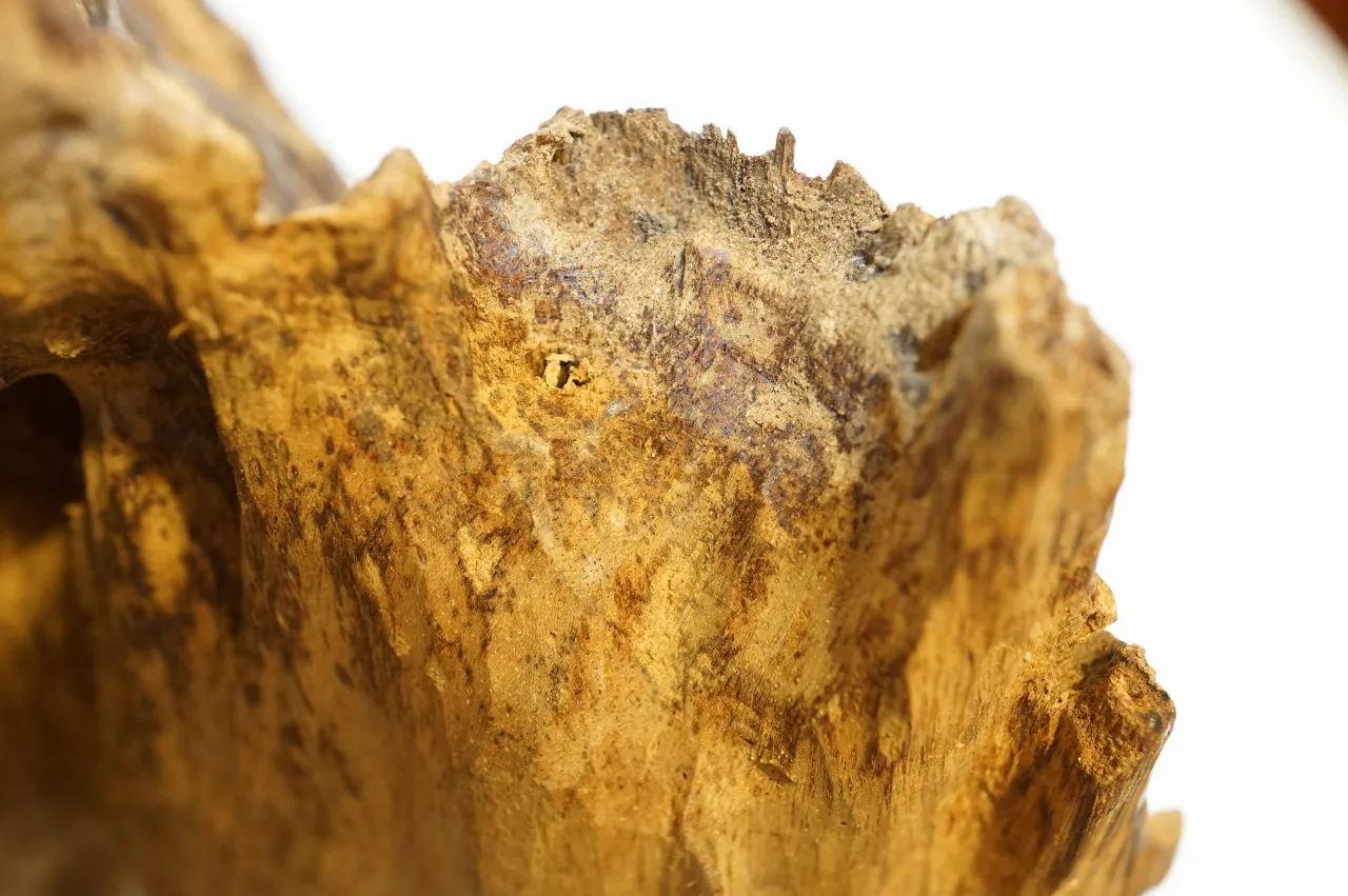 野生越南大件沉香