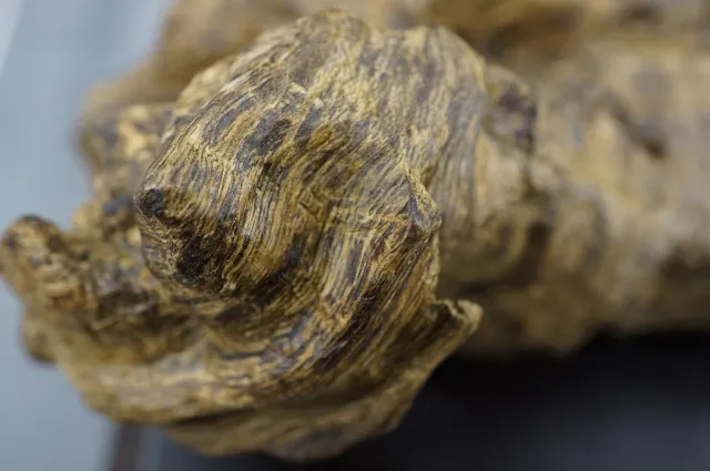 印尼達拉干奇味