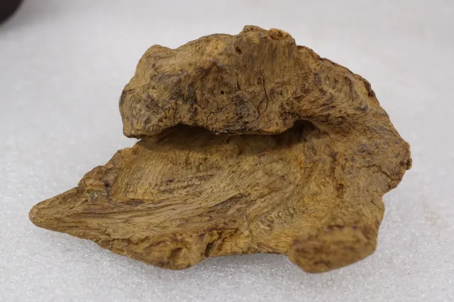 印尼亞齊急沉28.179g