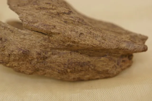 越南廣平紅土急沉9.79g